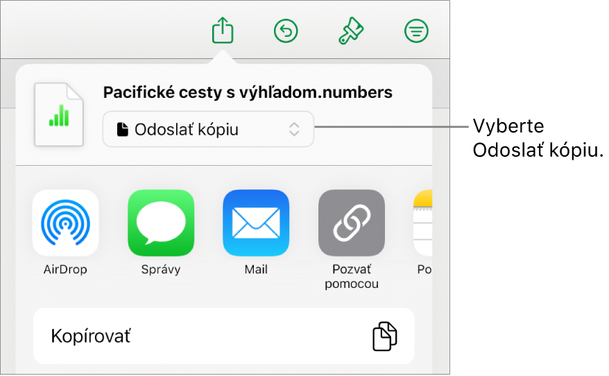 Menu Zdieľať s vybranou možnosťou Odoslať kópiu vo vrchnej časti.