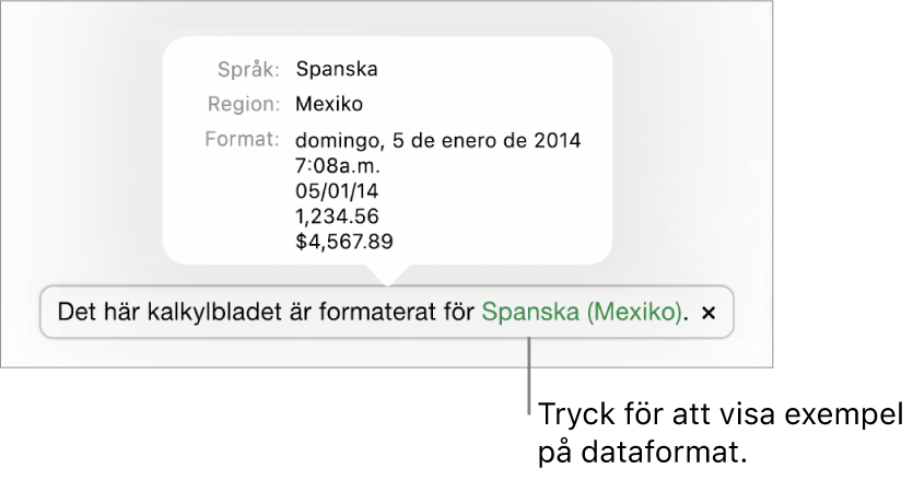 Meddelandet om olika språk- och regioninställningar samt exempel på formatering för det andra språket och den andra regionen.