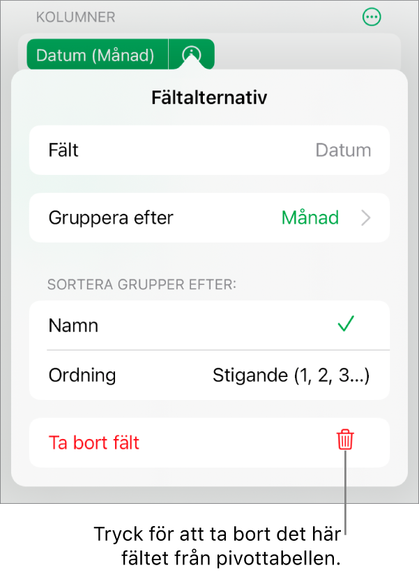 Menyn Fältalternativ visar reglage för att gruppera och sortera data samt alternativet att ta bort ett fält.