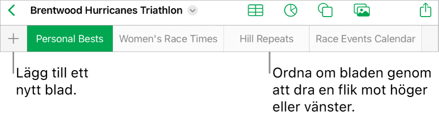 Flikfältet för att lägga till ett nytt blad, navigera, ändra ordning på och arrangera om blad.