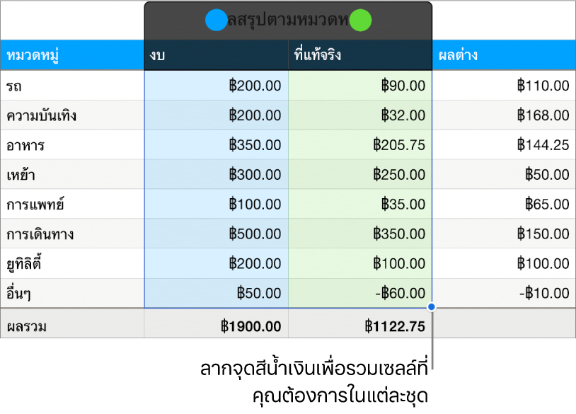 เซลล์ตารางที่แสดงชุดของขอบจับส่วนที่เลือก