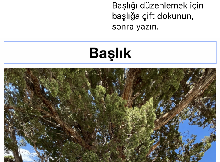 Yer tutucu başlık (“Başlık”) bir fotoğrafın altında görünür, başlık alanının çevresindeki mavi kontur resim yazısının seçildiğini gösterir.