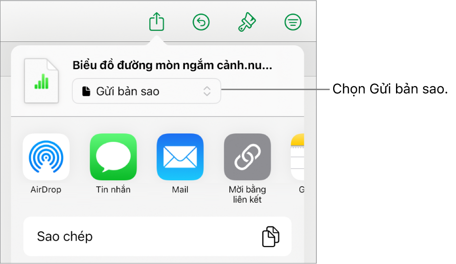 Menu Chia sẻ với Gửi bản sao được chọn ở trên cùng.