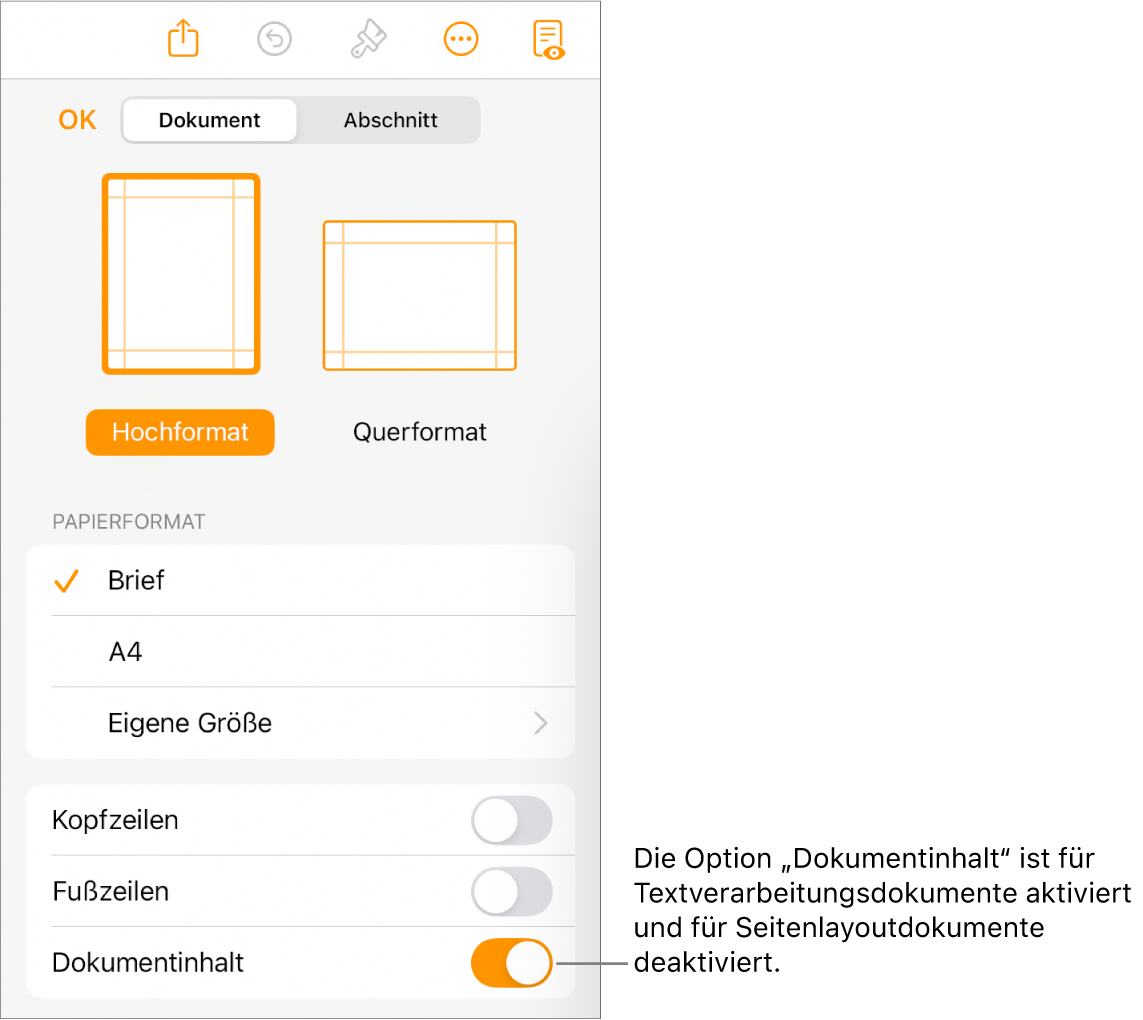 Die Steuerelemente für das Dokumentformat mit aktivierter Option „Dokumentinhalt“ unten auf dem Bildschirm.