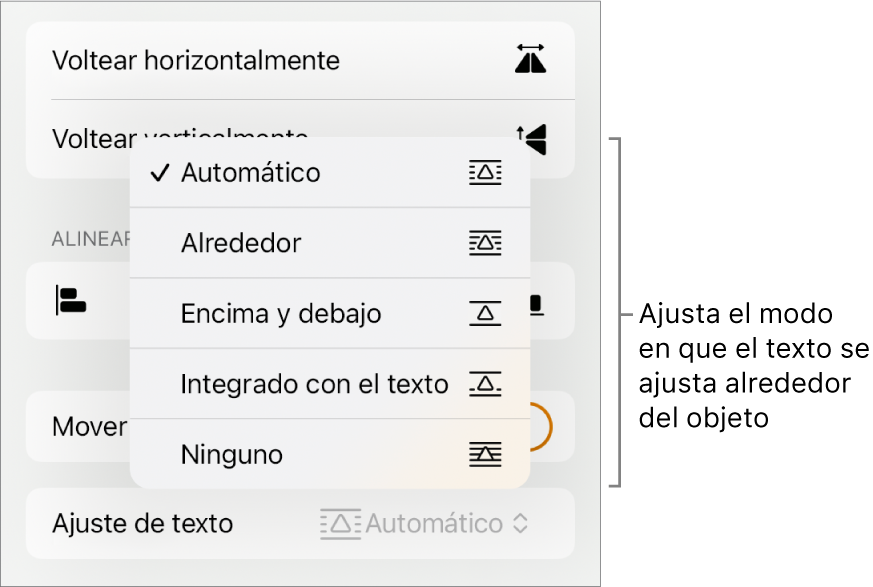 Los controles de formato con la pestaña Orden seleccionada. Debajo están los controles Ajuste de texto con las opciones Mover al fondo/al frente, Mover con texto y Ajuste de texto.