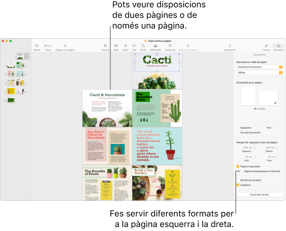 La finestra del Pages amb miniatures de pàgina i una visualització del document consistent en una disposició de dues pàgines. A la barra lateral Document de la dreta, hi ha la casella de selecció “Pàgines dreta/esquerra diferents” desmarcada.