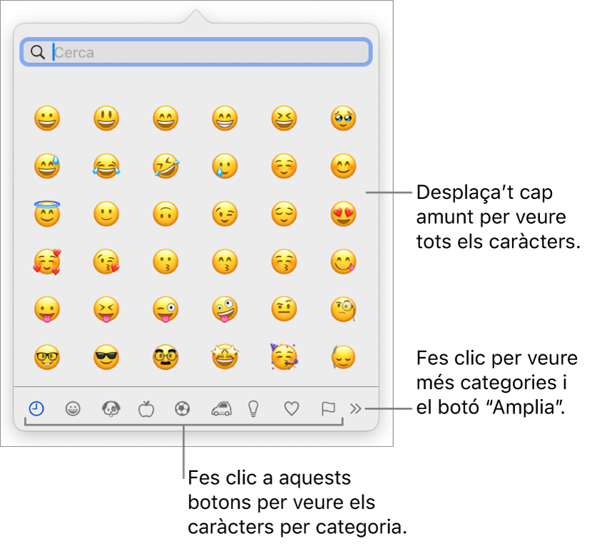 A la finestra del visor de caràcters es mostren emojis, botons per a les diferents categories de símbols a la part inferior i un botó per mostrar més categories, i el botó “Amplia”.