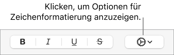 Das Einblendmenü „Erweiterte Optionen“ rechts neben den Tasten „Fett“, „Kursiv“, „Unterstrichen“ und „Durchgestrichen“