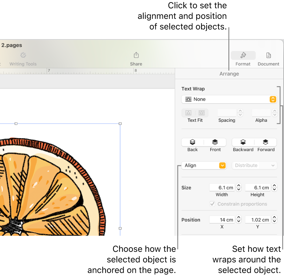 The Format menu with the Arrange sidebar displayed. The Object Placement settings are at the top of the Arrange sidebar, with the Text Wrap settings below.