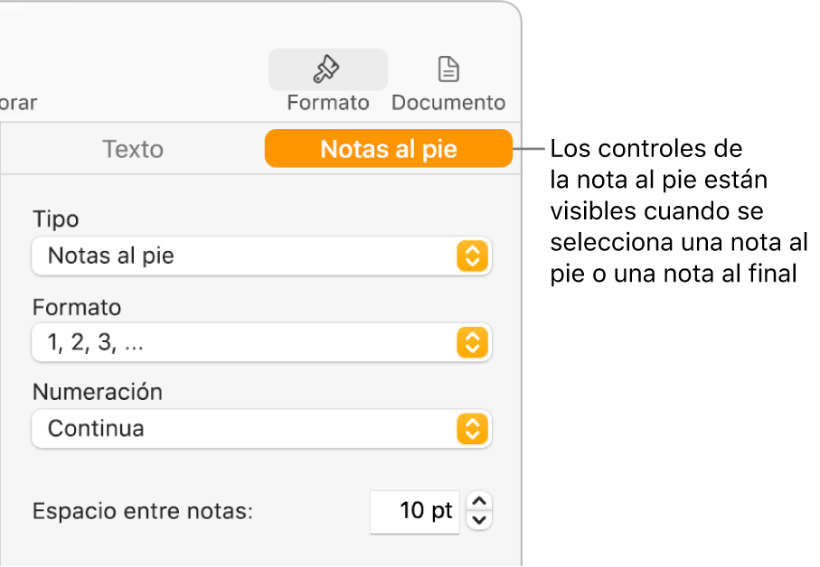 El panel Notas al pie con menús desplegables para Tipo, Formato, Numeración y espacio entre notas.