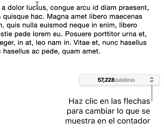 El menú de conteo de palabras con el número de palabras del documento.