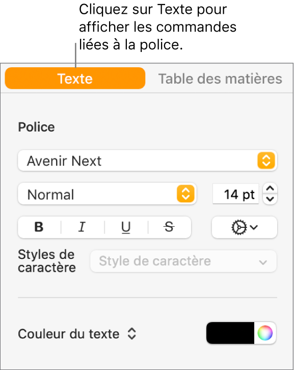 Barre latérale Format avec l’onglet Texte sélectionné et les commandes de police qui permettent de modifier la police et la taille de police, ainsi que d’ajouter des styles de caractère.