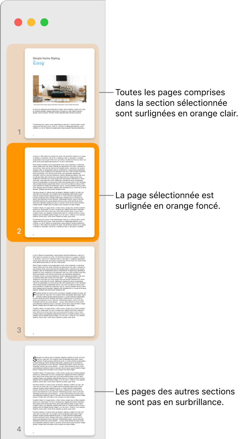 La Présentation des pages sous forme de vignettes dans la barre latérale avec la page sélectionnée surlignée en orange foncé et l’ensemble des pages de la section sélectionnée surligné en orange clair.