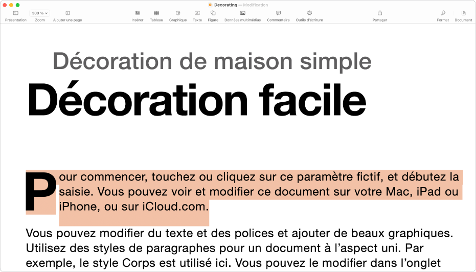 Dans un document ouvert avec du texte de paramètre fictif de modèle sélectionné.