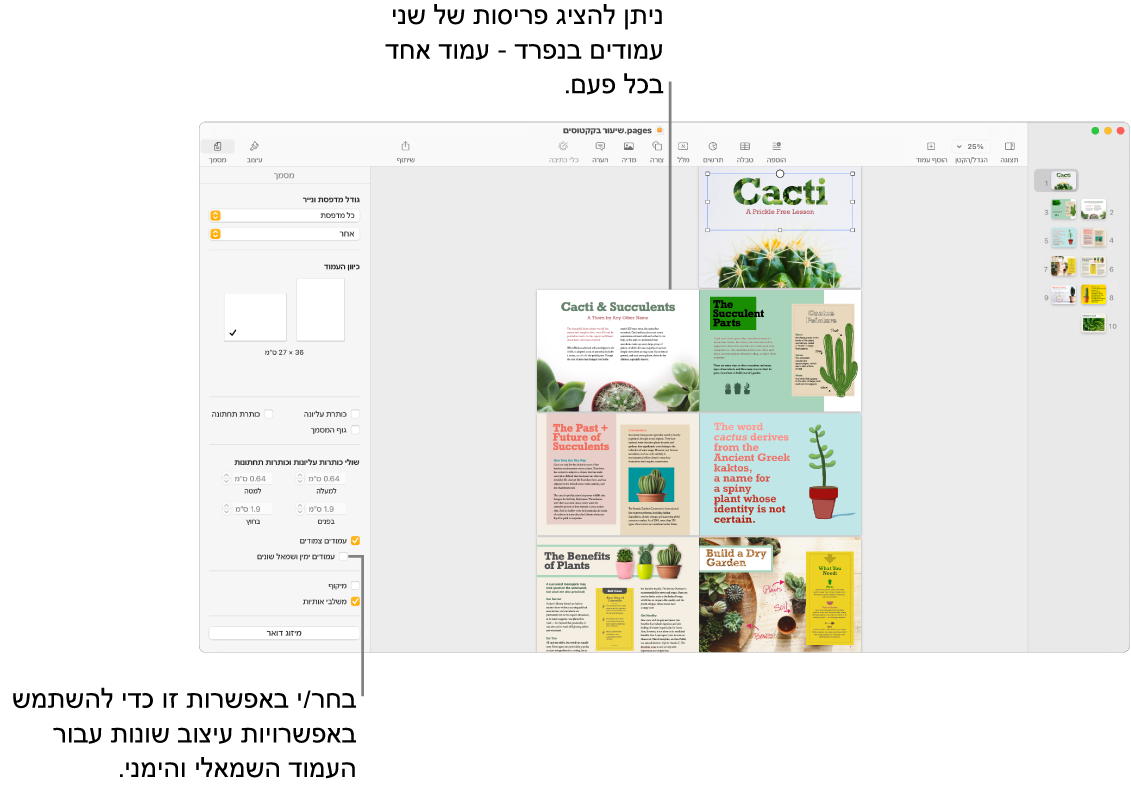 החלון של Pages עם תמונות ממוזערות של עמודים ועמודי מסמך שמוצגים בפריסה של שני עמודים. בסרגל הצד ״מסמך״ בצד שמאל, תיבת הסימון ״עמודים ימין ושמאל שונים״ לא מסומנת.