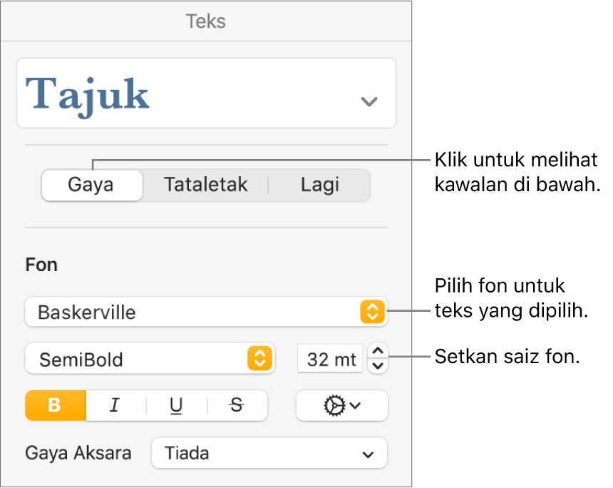 Kawalan teks dalam bahagian Gaya pada bar sisi Format untuk mengesetkan fon dan saiz fon.