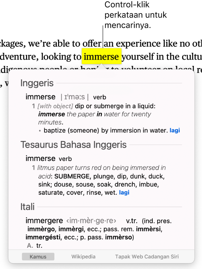 Perenggan dengan perkataan diserlahkan dan tetingkap menunjukkan definisinya dan entri tesaurus. Butang di bahagian bawah tetingkap menyediakan pautan ke kamus, Wikipedia dan tapak web cadangan Siri.