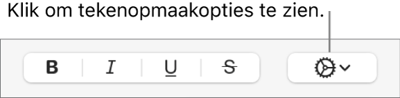 Het pop‑upmenu voor geavanceerde opties rechts van de knoppen voor vet, cursief, onderstrepen en doorhalen.