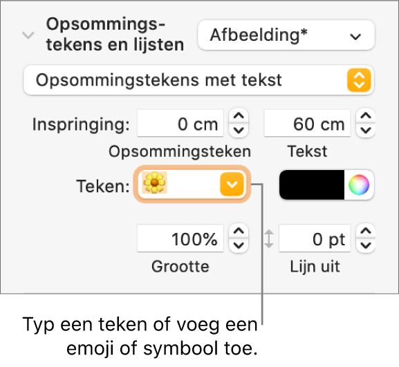 Het gedeelte 'Opsommingstekens en lijsten' in de navigatiekolom 'Opmaak'. In het veld 'Teken' staat een emoji van een bloem.