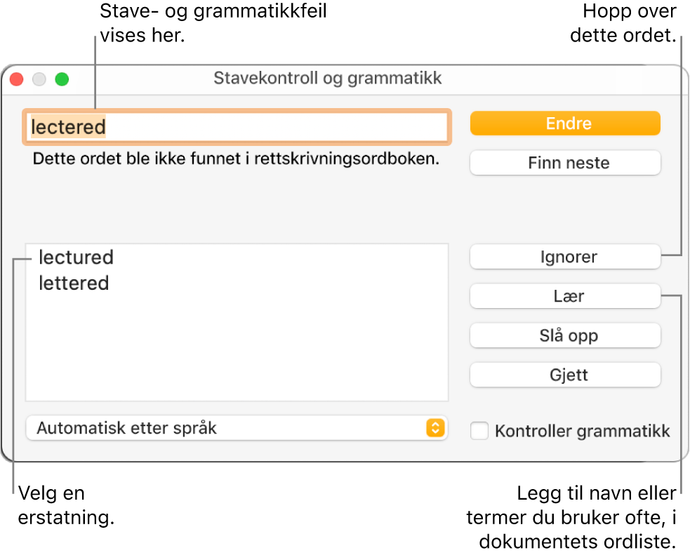 Stavekontroll og grammatikk-vinduet.