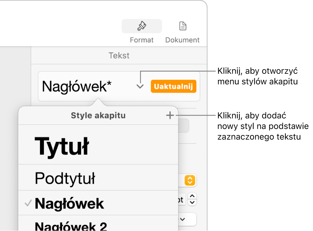 Menu Style akapitu, zawierające narzędzia pozwalające na dodawanie lub zmienianie stylu.