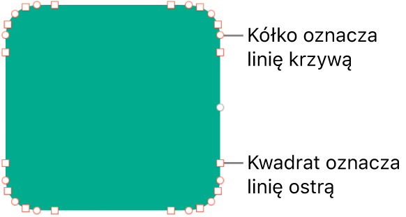 Kształt z edytowalnymi punktami.