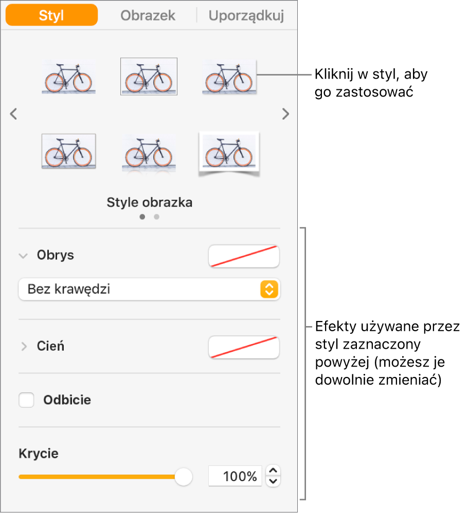 Karta Styl na pasku bocznym Format, zawierająca opcje stylu obiektu.