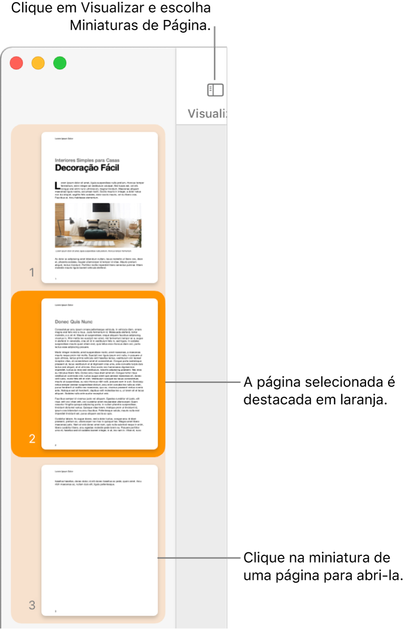 Barra lateral no lado esquerdo da janela do Pages, com a visualização de Miniaturas de Página aberta e uma página selecionada destacada em laranja escuro.