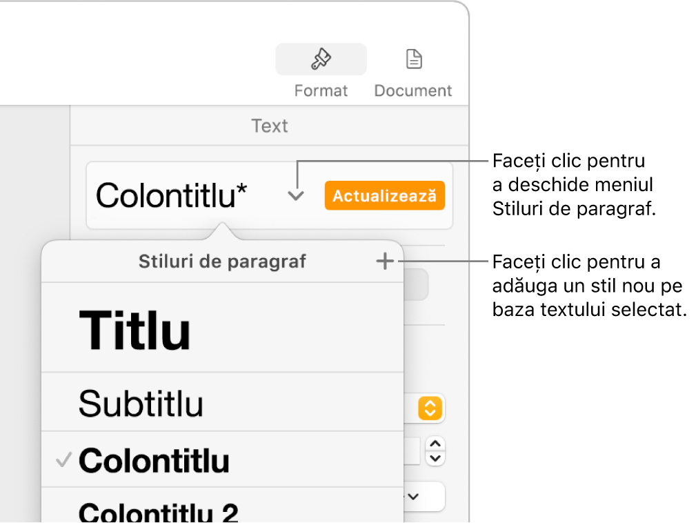 Meniul Stiluri de paragraf afișând comenzi de adăugare sau modificare a unui stil.
