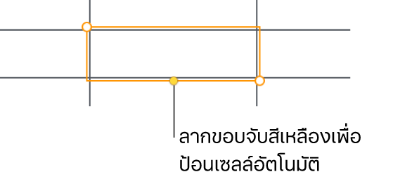 เซลล์ที่เลือกที่มีขอบจับสีเหลือง ซึ่งคุณสามารถลากเพื่อป้อนเซลล์อัตโนมัติได้