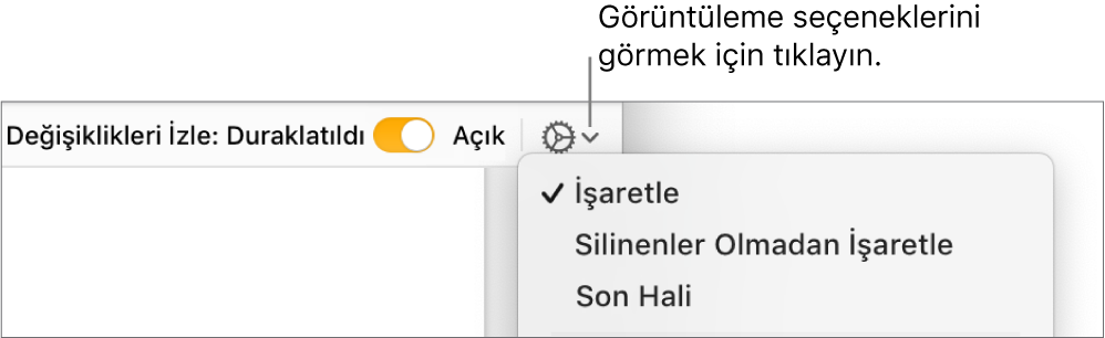 İşaretle, Silinenler Olmadan İşaretle ve Son Hali öğelerini gösteren gözden geçirme seçenekleri menüsü.