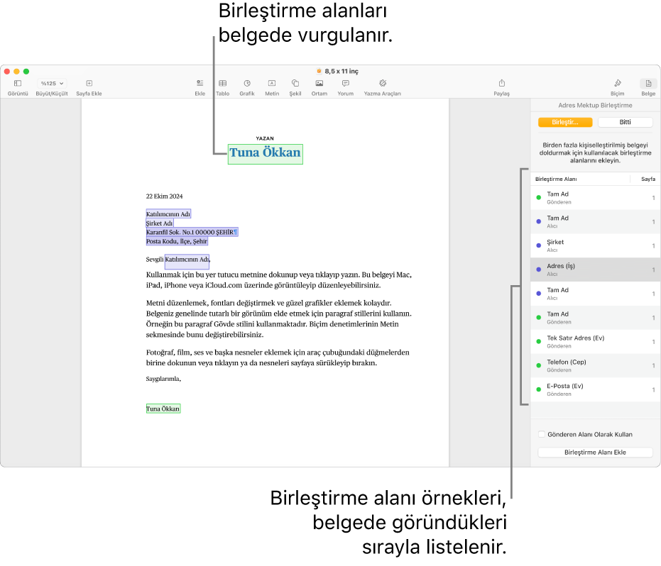 Alıcı ve gönderen birleştirme alanları ile Pages belgesi ve Belge kenar çubuğunda görünen birleştirme alanı örnekleri listesi.