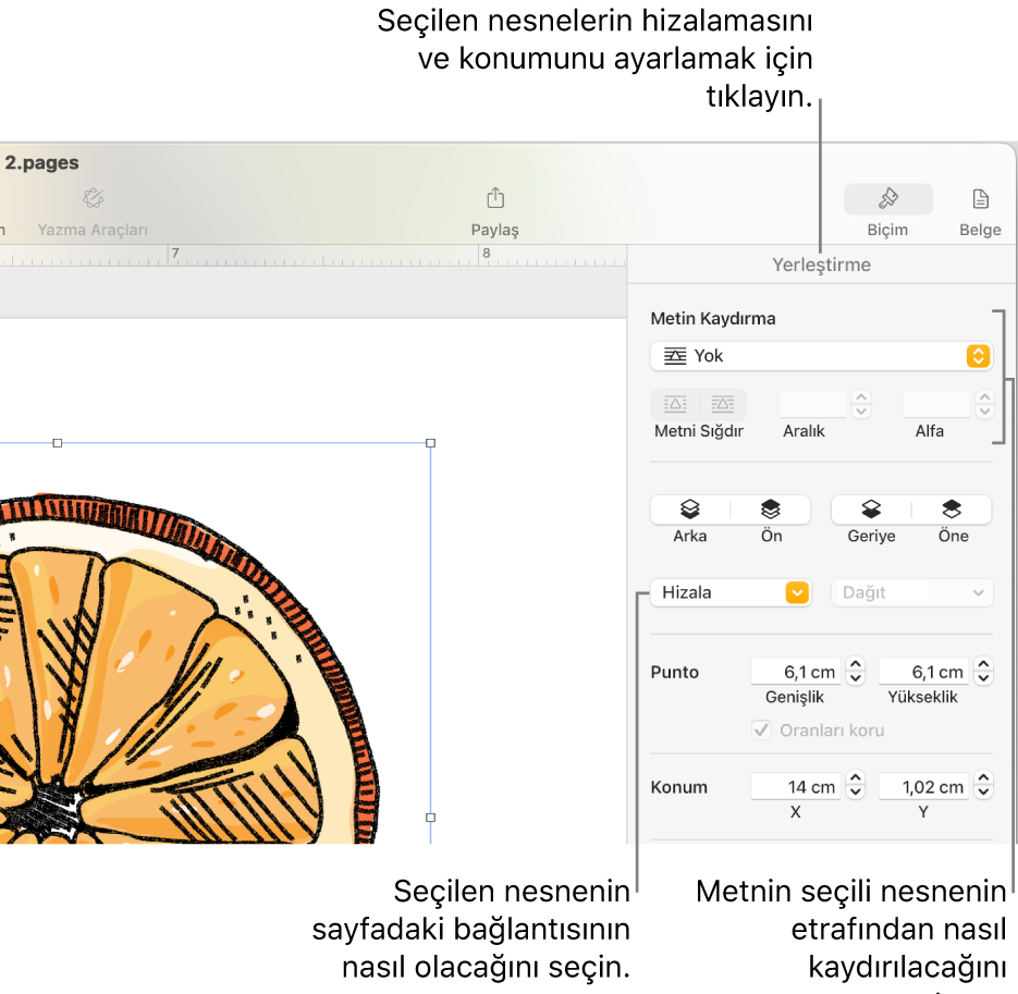 Yerleştir kenar çubuğu görüntülenen Biçim menüsü. Nesne Yerleştirme ayarları, Yerleştir kenar çubuğunun en üstünde, altında Metin Kaydırma ayarları ile yer alır.