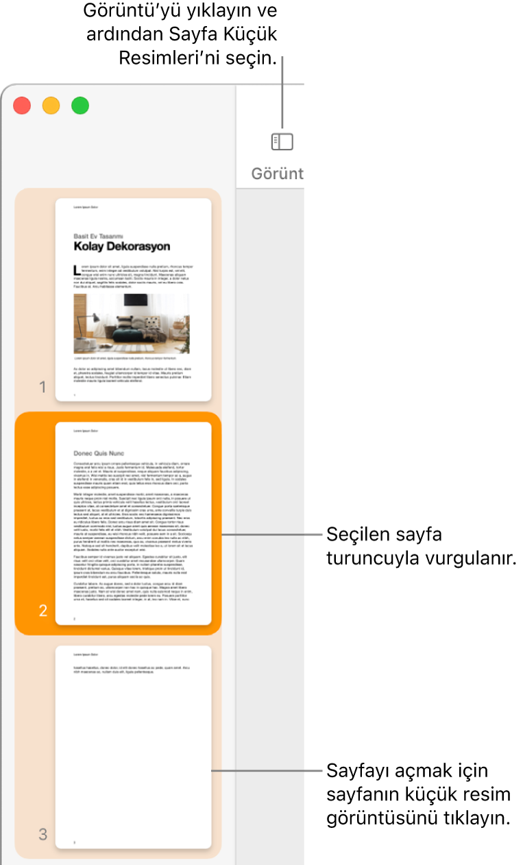 Sayfa Küçük Resimleri görüntüsü açık ve seçili sayfa koyu turuncu ile vurgulanmış Pages penceresinin sol tarafındaki kenar çubuğu.