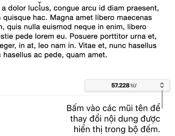 Menu số từ đang hiển thị số lượng từ trong tài liệu.