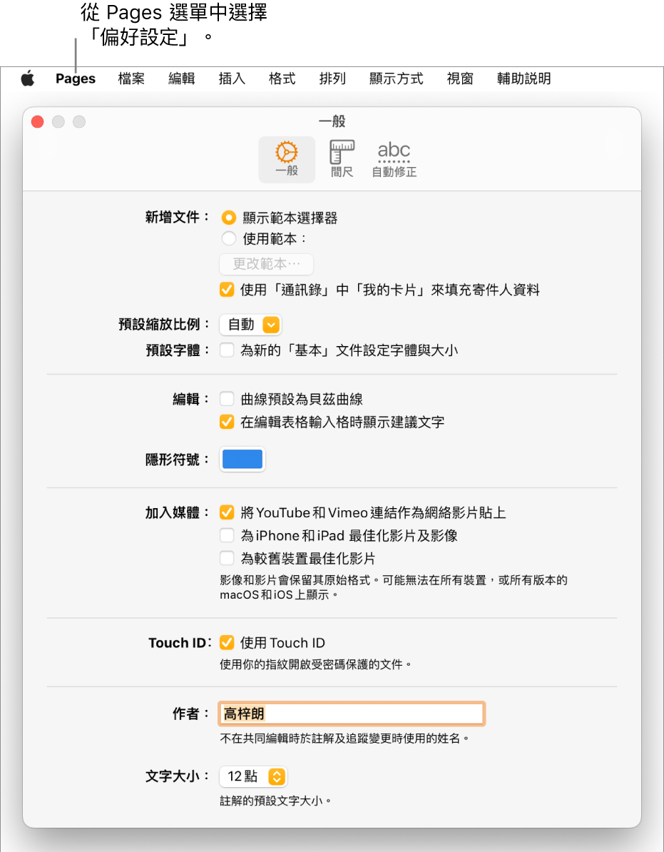 已開啟 Pages「設定」面板的「一般」分頁。