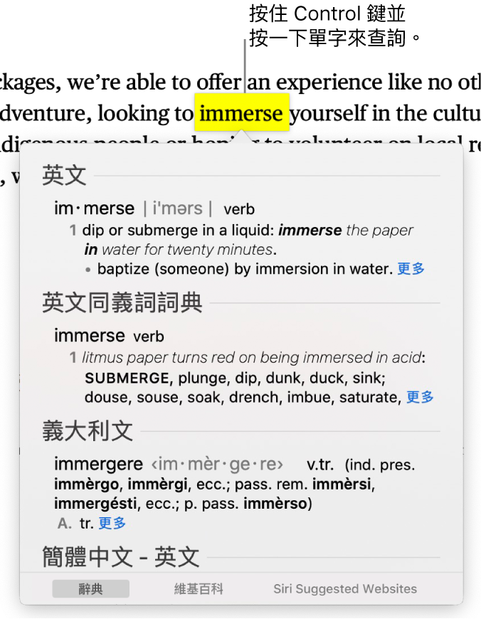 段落包含反白的單字，一個視窗顯示其定義和同義詞詞條。視窗底部的按鈕提供了字典、維基百科和 Siri 建議網站的連結。