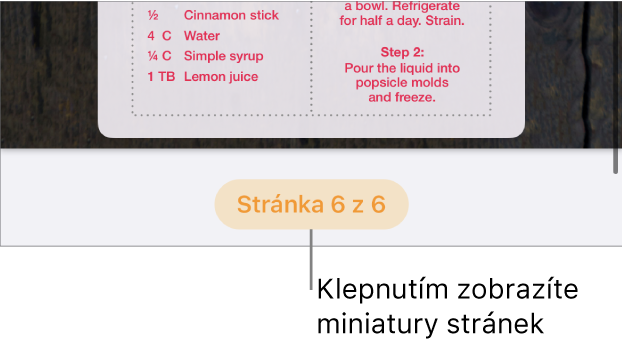 Otevřený dokument s tlačítkem čísla stránky dole uprostřed obrazovky.