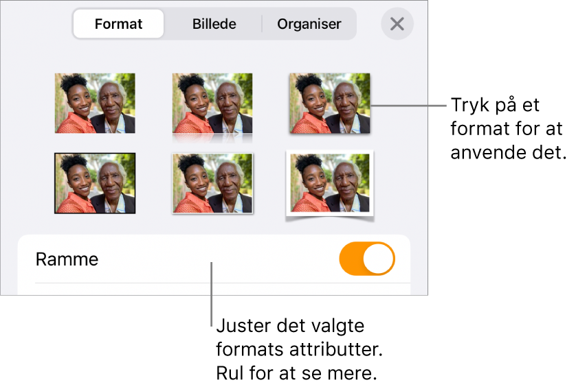 Format til menuen Format med objektformater øverst og derunder en betjeningsmulighed til ændring af rammen.