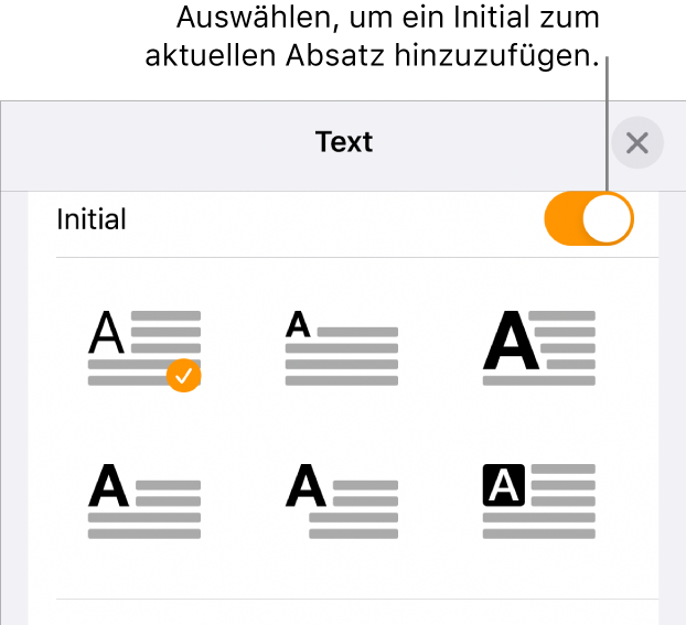 Die Steuerelemente „Initial“ im Menü „Text“