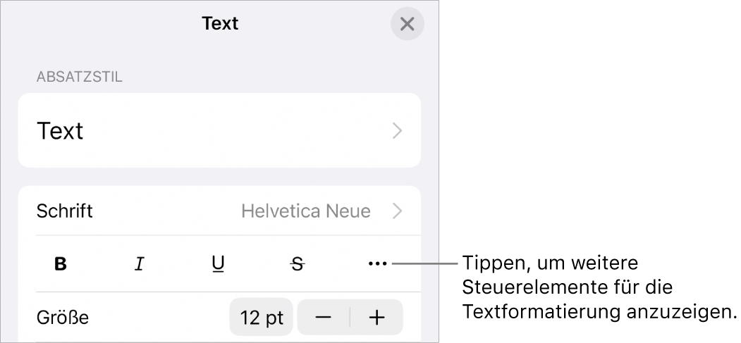 Der Tab „Text“ der Formatsteuerungen mit einer Beschreibung für die Taste „Weitere Textoptionen“.