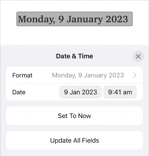 The Date & Time controls showing a pop-up menu for date Format, and Set to Now button and Update All Fields buttons.