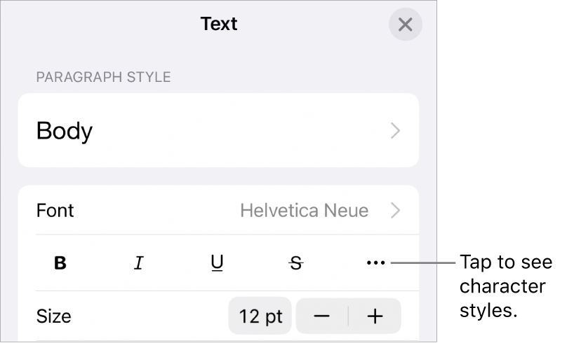 The Format controls with Bold, Italic, Underline, Strikethrough, and More Text Options buttons.