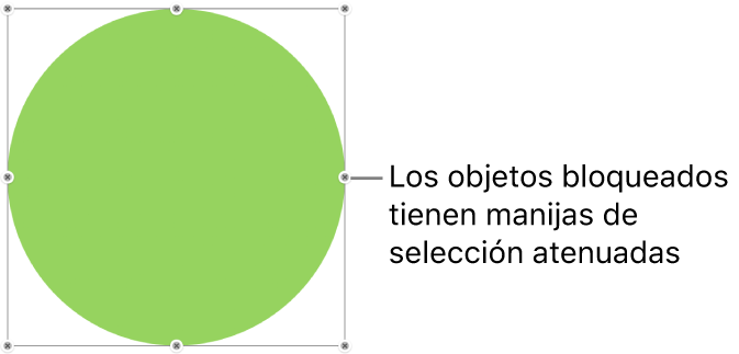 Un objeto bloqueado con manijas de selección atenuadas.