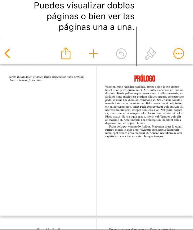 Un documento con sus páginas organizadas con formato de dobles páginas.