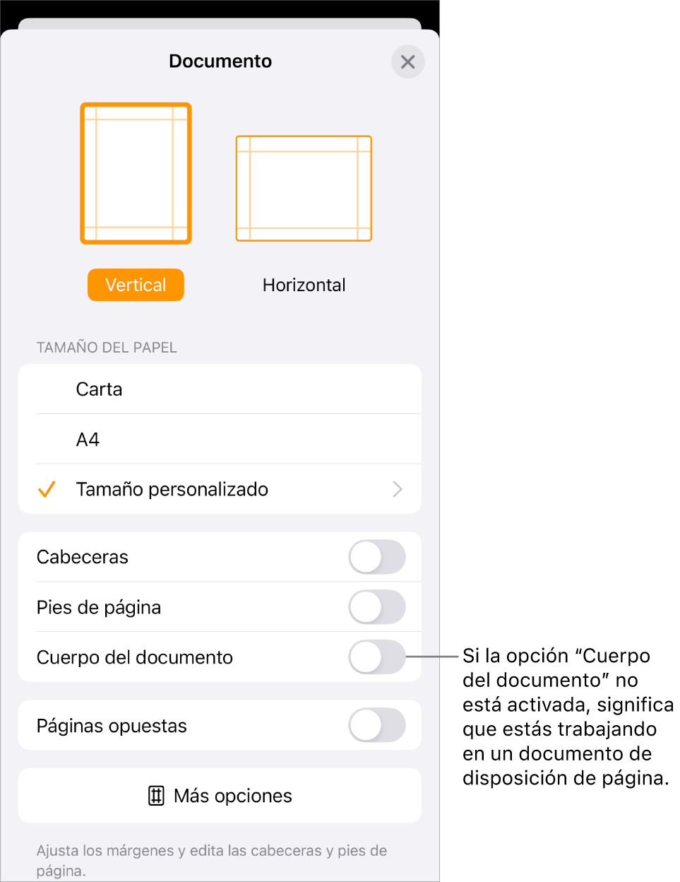 La configuración del documento está abierta y el cuerpo del documento está sin seleccionar en un documento de disposición de página.