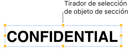 Un objeto con tiradores de selección.