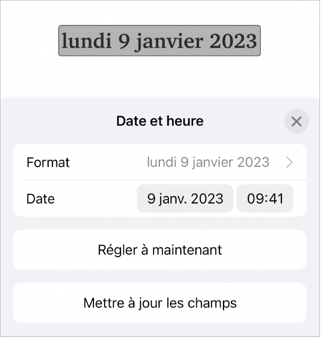 Les commandes Date et heure affichant un menu contextuel pour le format de date ainsi que le bouton Régler à maintenant et les boutons Mettre à jour tous les champs.