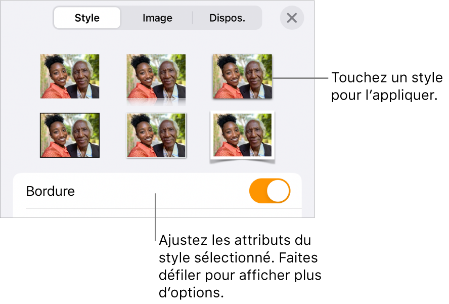 Le Style du menu Format avec les styles d’objet en haut et une commande au-dessous pour modifier la bordure.