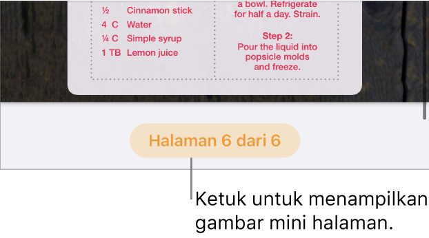 Dokumen terbuka dengan tombol jumlah halaman di tengah bawah layar.